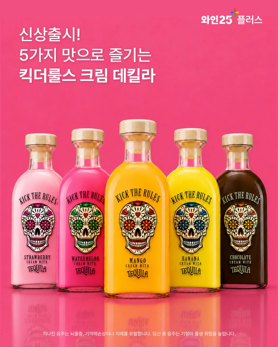킥더룰스 크림 데킬라 5종
