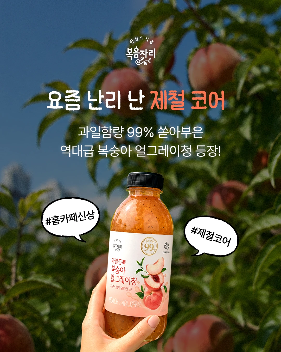 복음자리 과일듬뿍 복숭아얼그레이청