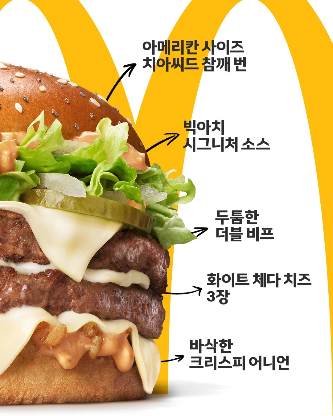 빅아치 이미지 2